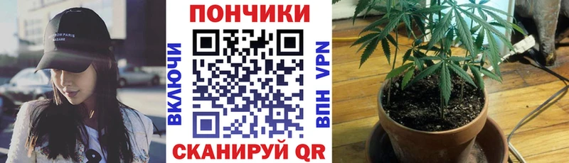 ОМГ ОМГ ссылки  Апрелевка  Канабис индика 